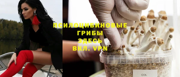 дмт Алзамай
