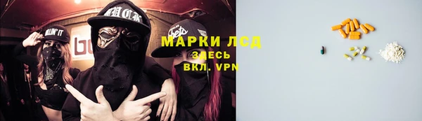 шишки Абинск