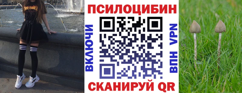 Галлюциногенные грибы мицелий  наркошоп  Канск 