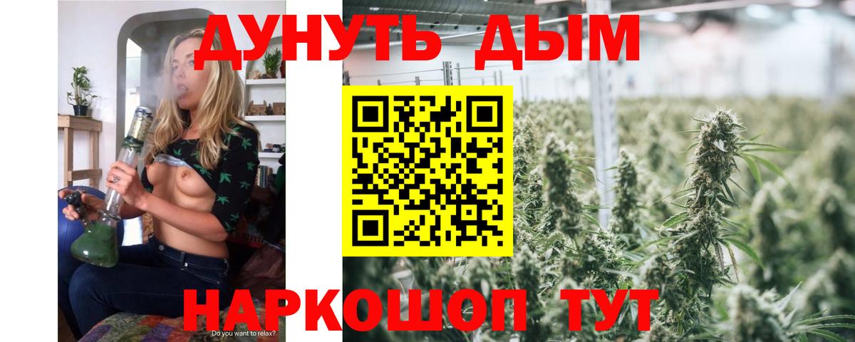 Бошки марихуана конопля Канск